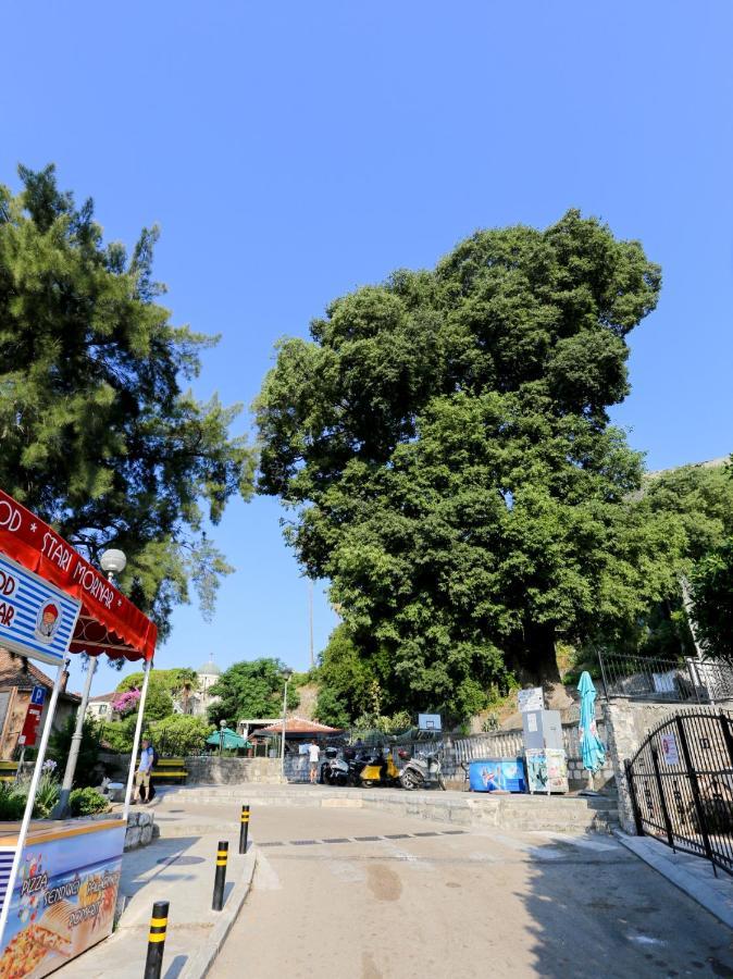 赫尔采格诺维Smještaj Djurdjevic公寓 外观 照片